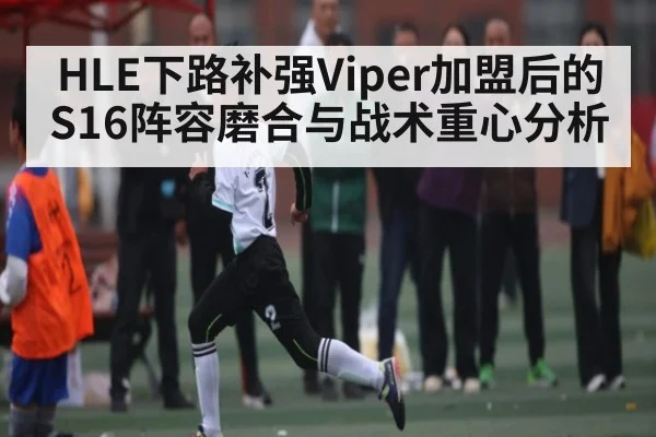 HLE下路补强Viper加盟后的S16阵容磨合与战术重心分析